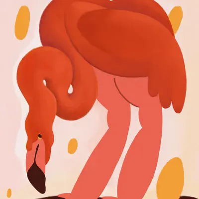 Flamingo and Golden Eggs