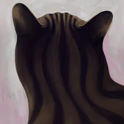 Back of a Cat