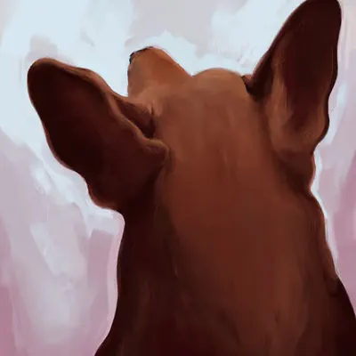 Back of a Puppy