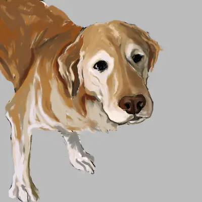 Winnie