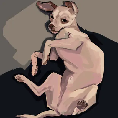 Fennec