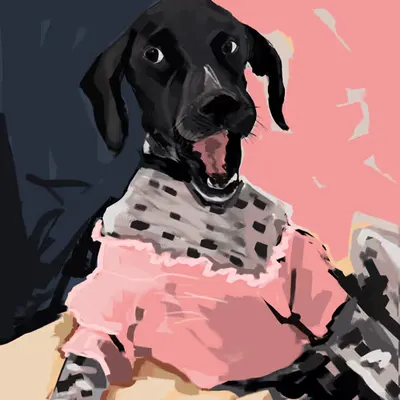 Lady