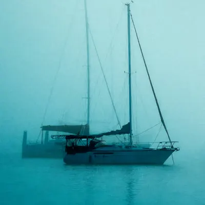 The Misty Sparrow