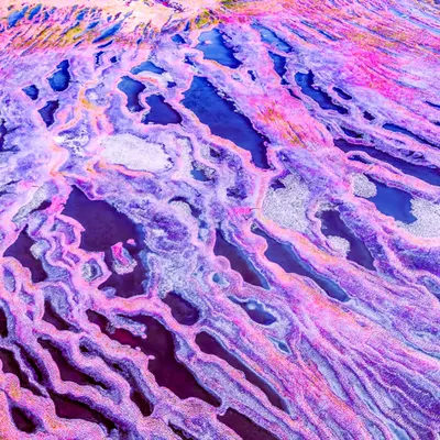 Purple Rains