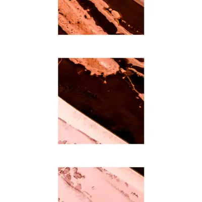 Terra Nova Triptych  #9