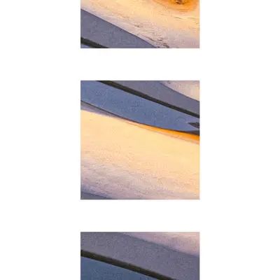 Terra Nova Triptych  #1