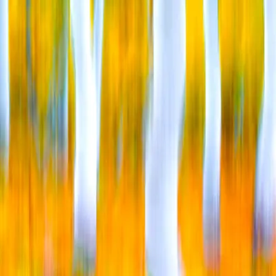 Ghosts Of Aspen