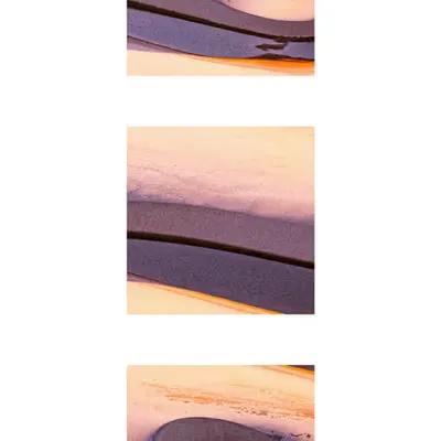 Terra Nova Triptych  2
