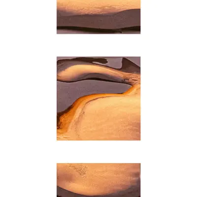 Terra Nova Triptych  #3