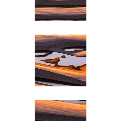 Terra Nova Triptych  #4