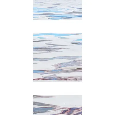 Terra Nova Triptych  #5