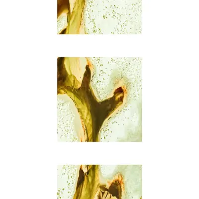 Terra Nova Triptych  #8