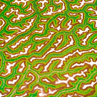 Back Channels of Australia