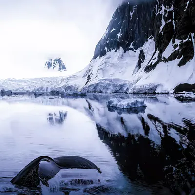 Sound of Icy Tales #1/5