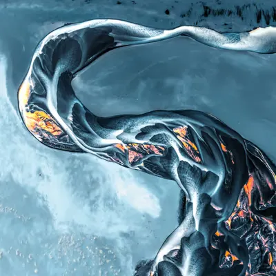Swan of Destiny #3/22