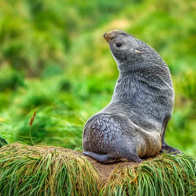 Strike a Pose