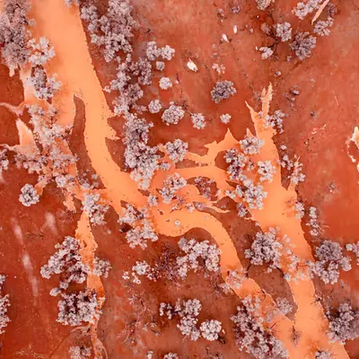 Red, Rivers