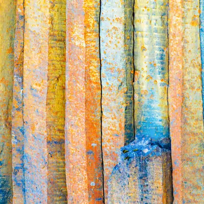 Abstract #14 Coral Hues
