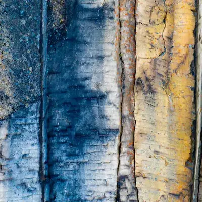 Volcano Abstract #9 The Woods