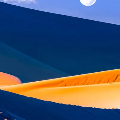 Mongolian Moon Dune