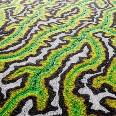 Bold Strokes