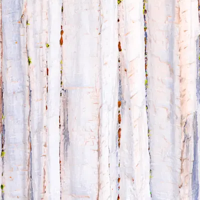 Abstract #6 North Pole