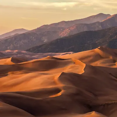 Dunes Day