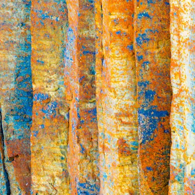 Abstract #8 Lehoia