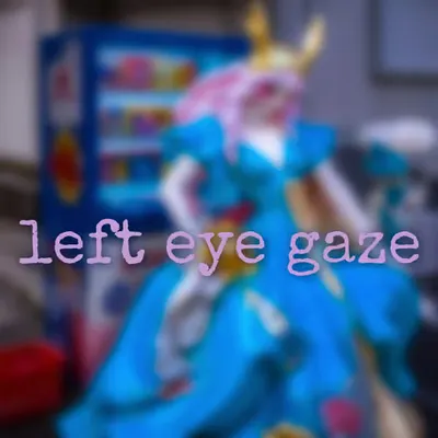 left eye gaze