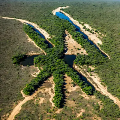 Kruger National Park, South Africa