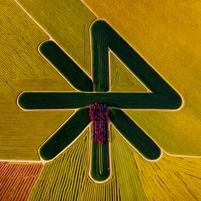 Tulip Fields, Netherlands