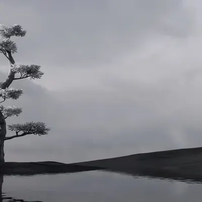 Serenity
