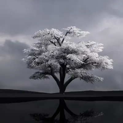 Frostbound