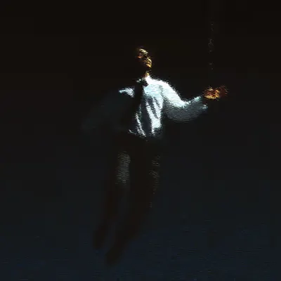 fly away