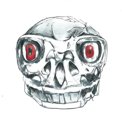 AlSkull #1