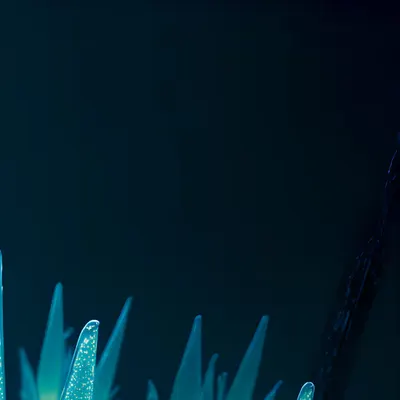 fractalis luminis | fragmentum septem