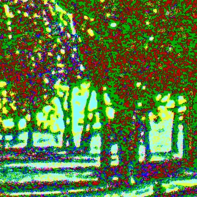 Tree Lined Path