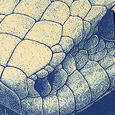 WIP 🐍