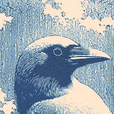 Raven (Norse)