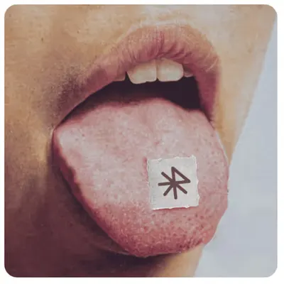 𝐸𝒻𝒻𝑒𝒸𝓉 𝟤𝟦𝒽