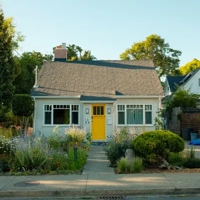 Little yellow