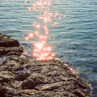 Shimmer