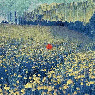 poppy