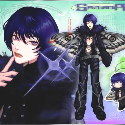 Saturnia the Moth