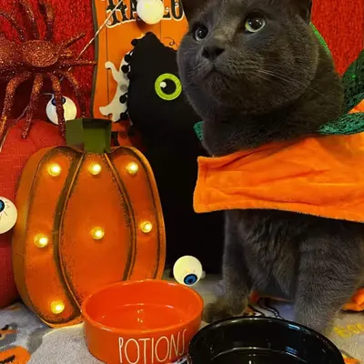 Halloween Kiki