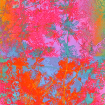 FRACTAL MIND 