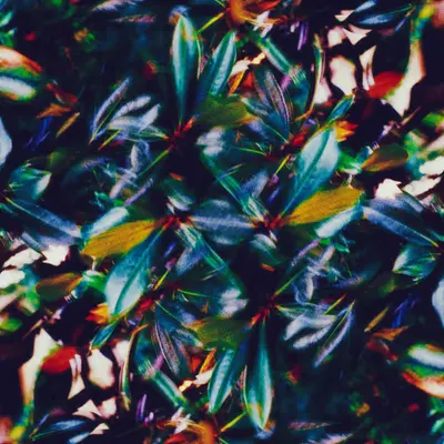 CHROMA