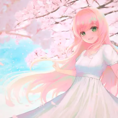 bloom🌸