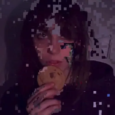 ҉c҉҉o҉҉o҉҉k҉҉i҉҉e҉