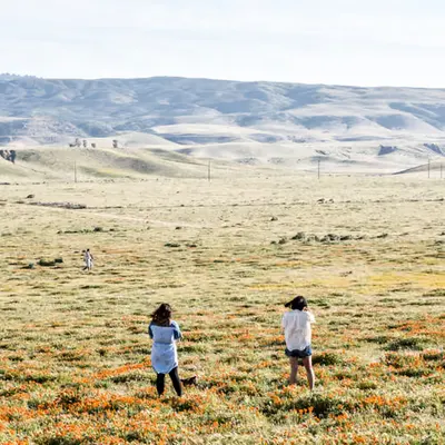 superbloom 451